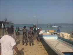 Hendak Cari Teripang, Nelayan Tewas Diterkam Aligator di Perairan Australia