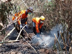 Kebakaran Gunung Merbabu Padam, tapi 3 Jalur Pendakiannya Masih Ditutup