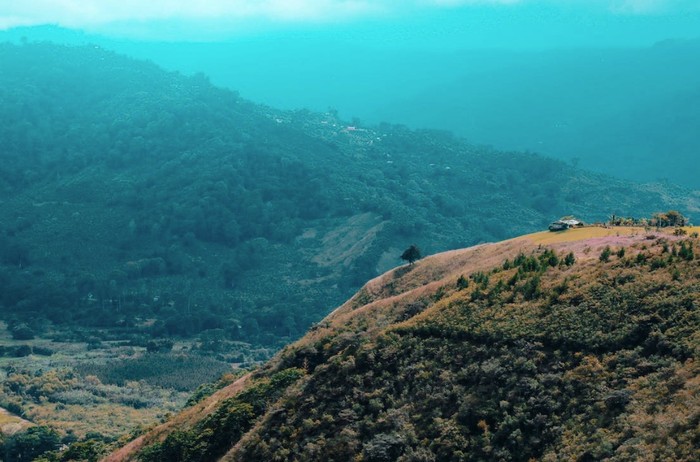 Destinasi Liburan Langganan Selebriti Hollywood