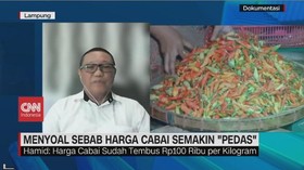 VIDEO: Menyoal Sebab Harga Cabai Yang Semakin 