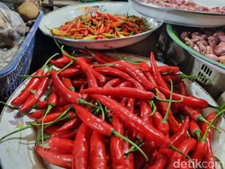 Harga Cabai di Gunungkidul Meroket, Sekilo Capai Rp 80 Ribu