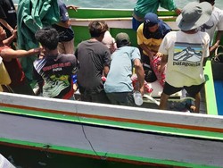 Lagi! Selain Muhaimin, Komodo Juga Gigit Kamarudin, Warga TN Komodo