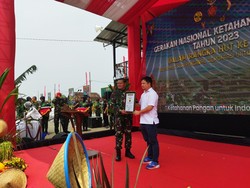 Panglima TNI Gelar Gerakan Nasional Ketahanan Pangan di 385 Titik, Raih Muri