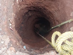 Pria Terjebak di Sumur 8 Meter di Jaktim, Evakuasi Berlangsung Dramatis