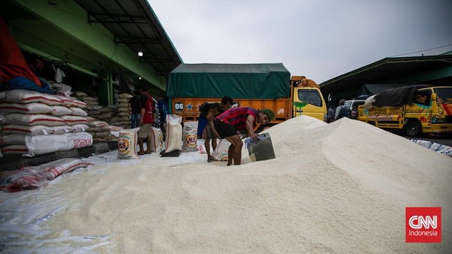 BPS memperkirakan produksi padi meningkat mulai Januari 2024. Dengan proyeksi itu, mereka berharap harga beras bisa terkendali.