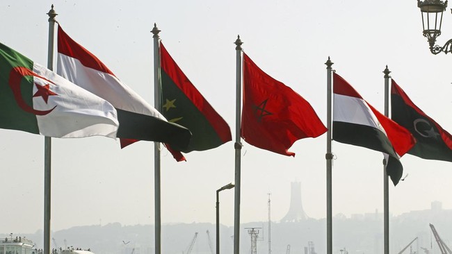 Ketika negara Barat tutup mata soal kebrutalan gempuran Israel yang membabi buta ke Jalur Gaza, apa yang bisa dilakukan negara Arab dan Muslim bantu Palestina?