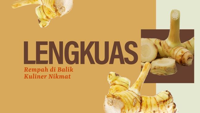 INFOGRAFIS: Lengkuas, Rempah di Balik Ragam Kuliner Nikmat