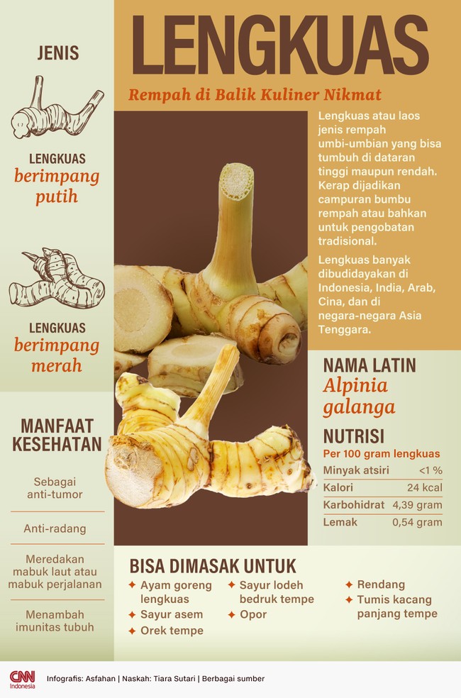 Lengkuas atau laos jenis rempah umbi-umbian yang kerap dijadikan campuran bumbu rempah atau bahkan untuk pengobatan tradisional.