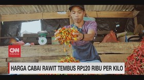 VIDEO: Harga Cabai Rawit Tembus Rp.120 Ribu Per Kilo