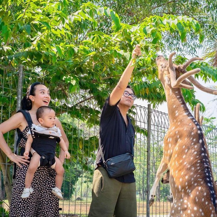 <p>Melihat dari laman media sosialnya, Dea Ananda dan sang suami kerap membagikan potret kebersamaan dengan Sanne. Misalnya saja kala mengunjungi kebun binatang (Foto: Instagram: @dea_ananda)</p>