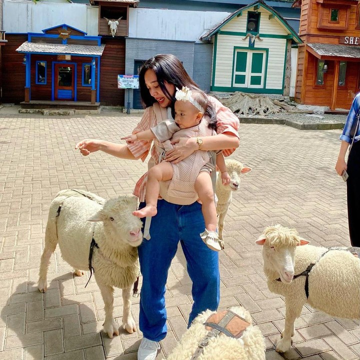 <p>Dalam beberapa kesempatan, Dea terlihat mengenalkan Sanne dengan banyak hewan, Bunda. Sanne juga sangat anteng dan tidak menangis, lho. (Foto: Instagram: @dea_ananda)</p>