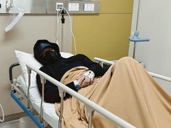 Atta Halilintar Dilarikan ke RS: Perut Keram sampai Susah Gerak