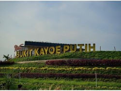 Mau Wisata dan Kulineran Gratis di Mojokerto? Buruan Nyoblos di Pemilu 2024