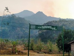 Kebakaran Gunung Penanggungan Tersisa di Puncak Bayangan