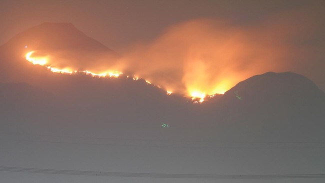 Kabid Kedaruratan dan Logistik BPBD Jatim mengatakan karhutla Gunung Penanggungan yang terjadi sejak Kamis lalu telah berdampak seluas 80 hektare.