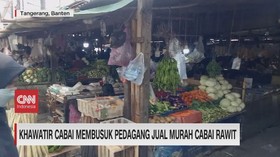 VIDEO: Khawatir Cabai Membusuk, Pedagang Jual Murah Cabai Rawit