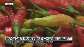 VIDEO: Harga Cabai Makin 'Pedas', Konsumen 'Menjerit'