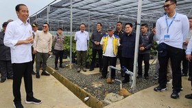 PLN Siap Penuhi Kebutuhan Listrik IKN dari Energi Bersih