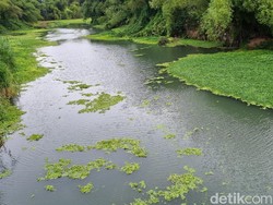 3 Mitos Kali Opak Induk 10 Sungai Jogja, Ada yang Dekatkan Jodoh