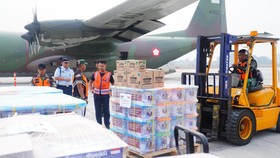 Pesawat Bantuan Indonesia untuk Palestina Tiba di Mesir