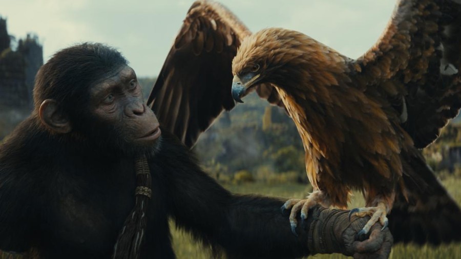 Trailer Film 'Kingdom of the Planet of the Apes', Para Kera Menguasai Dunia