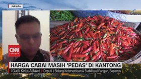 VIDEO: Harga Cabai Masih 'Pedas' di Kantong