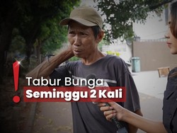 Viral Makam Kucing di Senopati, Berawal dari Rasa Tak Tega Pengurus