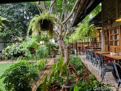 Kafe Homey, Cocok untuk WFC di Bekasi Buka dari Pagi