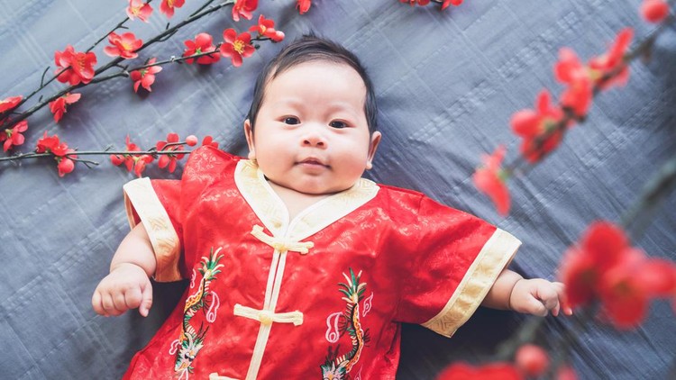 Ilustrasi Bayi Shio Naga