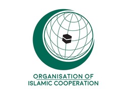OKI Kecam DK PBB yang Gagal Setujui Resolusi Gencatan Senjata di Gaza