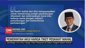 VIDEO: Pemerintah Akui Harga Tiket Pesawat Mahal