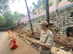 Turap TM Ragunan Ambrol Imbas Hujan, Pengelola Pastikan Tak Ada Korban