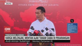 VIDEO: Harga Melonjak, Mentan Ajak Tanam Cabai di Perkarangan