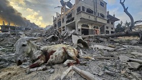 49 Hari Agresi Israel: Nyaris 15 Ribu Tewas-41 Ribu Rumah Hancur