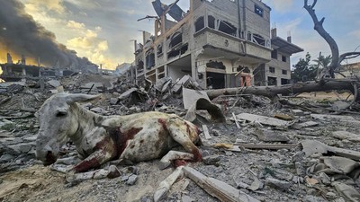 Israel lagi-lagi menggempur kompleks pengungsi Jabalia di Jalur Gaza utara, menargetkan sebuah sekolah di wilayah itu pada Selasa (21/11).