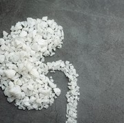 Anak Muda Wajib Tahu! Ini 5 Cara Melindungi Ginjal dari Kerusakan Sejak Dini