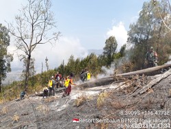 Kebakaran Hutan di Gunung Rinjani Terus Meluas