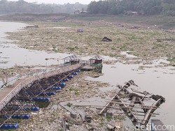 KJA di Waduk Jangari Rusak Dihantam Banjir, 50 Ton Ikan Lepas