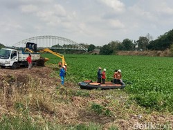 Eceng Gondok di Bengawan Solo Mulai Dibersihkan, 1 Alat Berat Diterjunkan