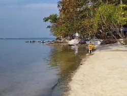 Pencemaran Limbah di Pantai Karimunjawa, Warga Alami Gatal-gatal