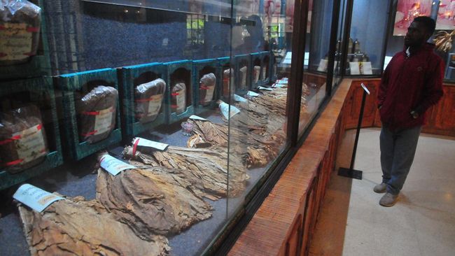 Sejak serial Gadis Kretek tayang, Museum Kretek yang terletak di Kabupaten Kudus, Jawa Tengah ini turut menjadi perhatian