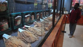 Mengenal Museum Kretek, Lokasi Syuting Serial Gadis Kretek
