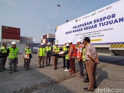 4.176 Ton Nanas Asal Lampung Diekspor ke China, Begini Penampakannya