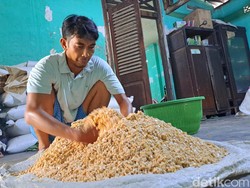 Harga Kedelai Meroket Rp 12.550 Per Kilo, Perajin Tempe Banyumas Galau