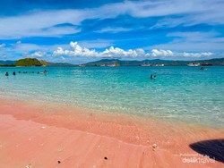 Asita Sebut Wisata Open Trip di Labuan Bajo Rentan Kecelakaan