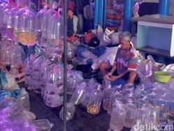 Asyiknya Jalan-jalan di Pusat Pasar Ikan Hias Gunung Sari Surabaya