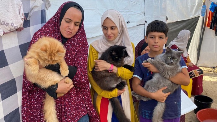 Displaced Palestinians, who fled their homes due to Israeli strikes, carry cats belonging to the Harb family who survived Israeli airstrikes, at a tent camp in Khan Younis in the southern Gaza Strip November 8, 2023. REUTERS/Arafat Barbakh     TPX IMAGES OF THE DAY