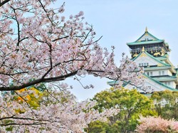 Liburan ke Jepang & Korea Selatan? Ini 5 Oleh-oleh yang Wajib Dibawa Pulang