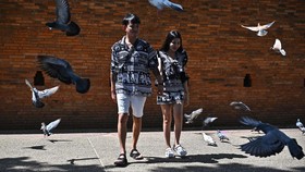 FOTO: TikToker Thailand Bikin Kain Motif Gajah Jadi Keren