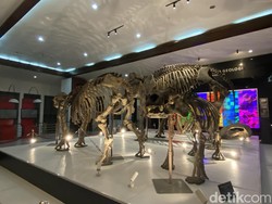 9 Museum di Bandung untuk Mengenal Sejarah, Budaya, dan Sains